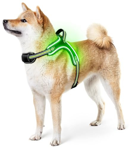 Upplyst hundsele inget drag LED hundsele med handtag, uppladdningsbar, regntät husdjurssele för nattpromenader glödande hundväst sele för små, medelstora och stora hundar (grön, M)