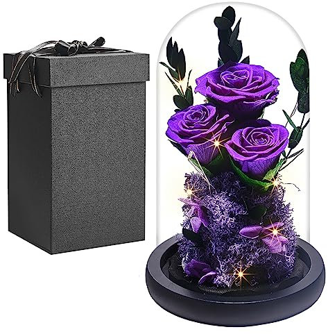 Echte Ewige Rose im Glas Kuppel, Frauen Geschenk Geburtstag, Die Schöne Und Das Biest Konservierte Rosen Blumen, Mama Freundin Ehefrau Oma Geschenk