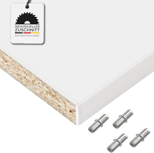 Hausfux Einlegeboden, Regalboden nach Maß - 1,9 cm Starke Spanplatte, melaminbeschichtet, einseitige ABS-Kante - Made in Germany - Maßanfertigung - für Möbelbau (ICY White, 60 x 50 cm)