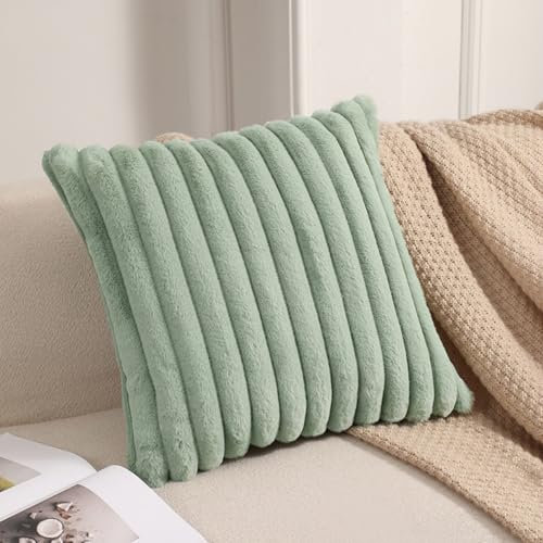Plüsch Samt Kissenbezug, Flauschig Kissenbezug 40x40, Plüsch Deko Kissenbezüge, Luxus Pelz Dekokissen Sofakissen, Deko Kissenhülle für Wohnzimmer Schlafzimmer (Hellgrün,40*40 cm, 1 Stück)