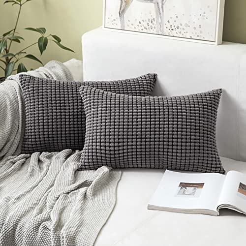 MIULEE Kissenbezug 40x60 Grau Sofakissen Kordsamt Kissenbezüge Rechteckig Cord Dekokissen Kissenhülle Dekorativ Couchkissen Bezug Weich für Wohnzimmer Schlafzimmer 16x24 Inch 2er Set