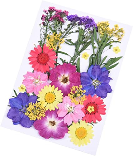 Echte getrocknete Blumen, DIY-Clipboard, DIY-Schmuck, Basteln, Heimdekoration, 30-teiliges Set for handgefertigte Pflanzen, gepresste natürliche Blätter, Kunstharz, mehrere Kerzen, Rittersporn, Gänseb