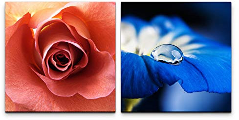 Paul Sinus Art Wandbild 2x60x60cm Rose rote Blüte Blumen Blau Wasserperle Dekorativ Makrofotografie