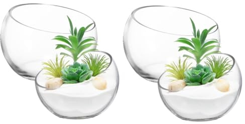 TOYANDONA 2 Series Bote De Flores Hidropónica Suculenta Redondo Exterior Maceta Forma Hidroponia Florero Hidropónico Creativo Jardinera De Vidrio De Mesa Olla Clara Transparente 2 Piezas*2