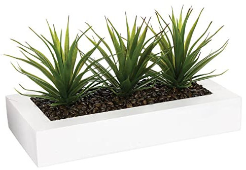 Atmosphera - centre de Table Aloe Vera H17