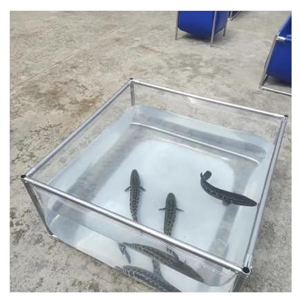 Aufstellpool, durchsichtiger Canvas-Pool, 100% transparenter Swimmingpool, verdicktes, kältebeständiges PVC mit Edelstahlhalterung, 10 Jahre Nutzungsdauer (150 x 10