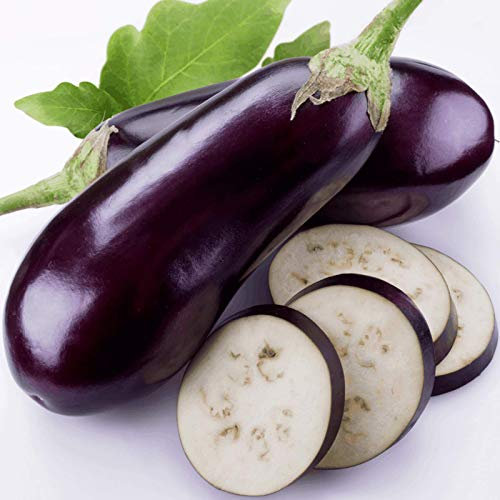 Welldales 50 Giant Aubergine Seeds Purple Premium British Egg Plant Vegetables
