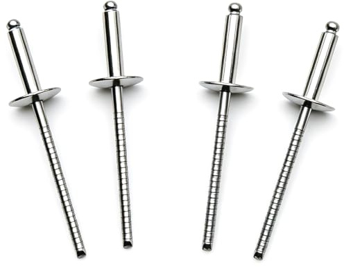 LBTODH 50 Stück 1/8 Zoll x 1/2 Zoll (3,2 x 12 mm) große Flansch Edelstahl Blindnieten Pop Nieten Kern Ziehnieten Griff (8,0 - 9,6 mm)