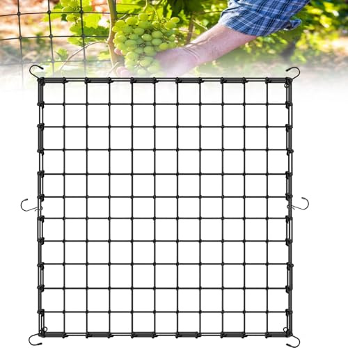 Coffee Life Plus Red de Tienda de Cultivo,40/60/90/120CM Red de Enrejado elástico,Red de Soporte de Plantas para Verduras,Enrejado de Red Flexible,Malla elástica para Plantas con Ganchos (150x150cm)