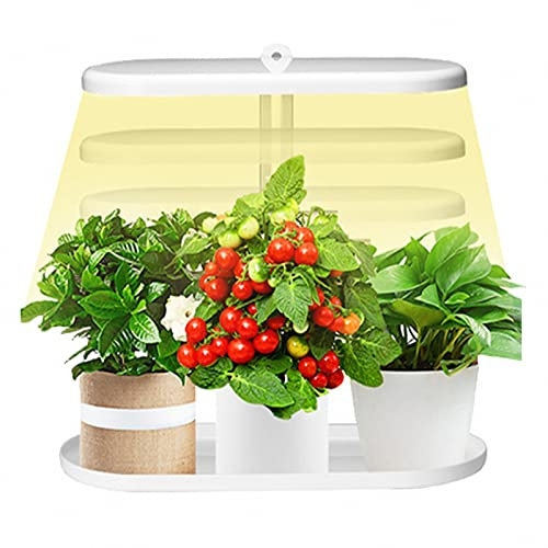AXTMR Smart Indoor Garden con LED Grow Light, Kit di Coltivazione idroponica, con Timer Automatico e Altezza Regolabile,White,40 * 37cm