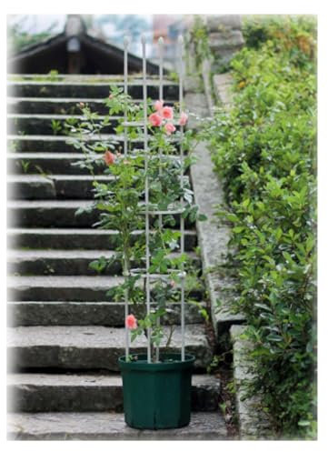 Garten-Obelisk-Spalier für Kletterpflanzen, Tomatenpflanzenturm-Stützkäfige, Indoor-Outdoor-Pflanzen-Rankgitter, für Gemüse, Blumen, Obst, Rosenranken-Kletterpflanzen Rankhilfe(Color:White,Size:25*90c