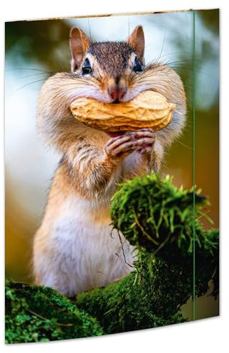 RNKVERLAG Zeichenmappe Chipmunk 310 x 440 mm, für Formate bis DIN A3 mit Gummizugverschluss, 1 Stück