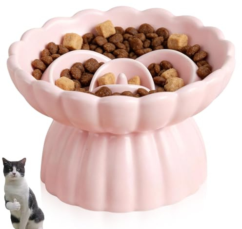 Anti Schling Napf Katze Keramik, Erhöhter Antischlingnapf für Katzen und Kleine Hunde, Slow Feeder Futternapf für Trockenfutter & Nassfutter, rutschfest und Spülmaschinenfest (Rosa)