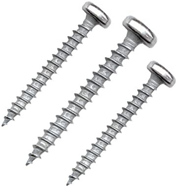 siwitec Spanplattenschrauben 1000 Stück mit Halbrundkopf, Panhead, Ø 4,0 x 25 mm, TORX - TX20, blau verzinkt, Holzschrauben