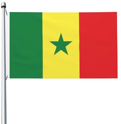 Drapeau du Sénégal imprimé double face, 9,6 x 1,5 m, léger et résistant aux couleurs avec boutonnières, idéal pour les fêtes en plein air et les jardins.