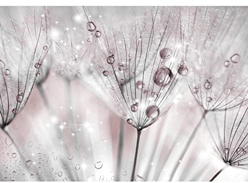 Runa Art Fototapete Blumen Pusteblume Modern Vlies Wohnzimmer Schlafzimmer - Made in Germany - 308 x 220 cm Rosa Grau 9436010a