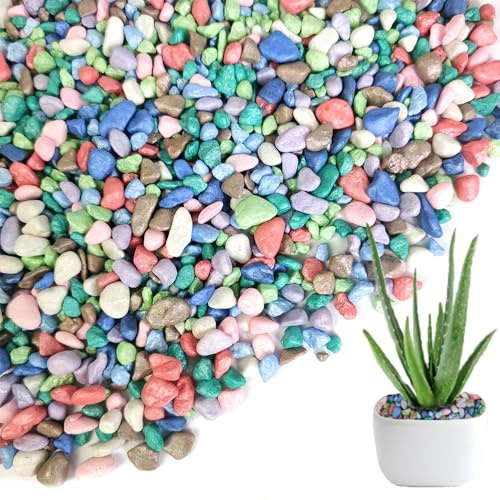 0.88 LB Colored Pea Gravel,Succulent Cactus Topper Dressing Pebbles,3-5mm