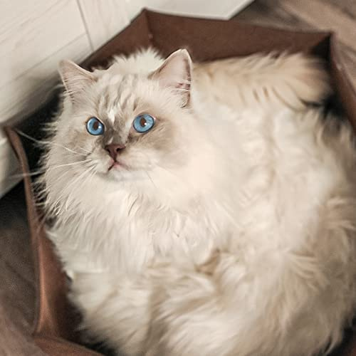 CanadianCat Company | Filzlounge AVA | L braun | Katzenbett aus Filz, Katzennest, Filzbett, Katzenkorb, Katzenkissen, Liegeplatz, Haustierbett