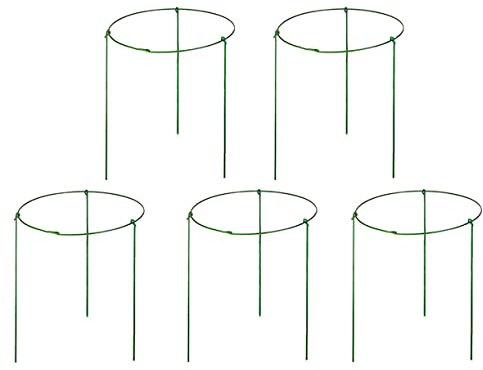 Pflanzenringe für Topfpflanzen, 19,8 cm breit x 27,9 cm hoch, 3 Beine, 5 Stück