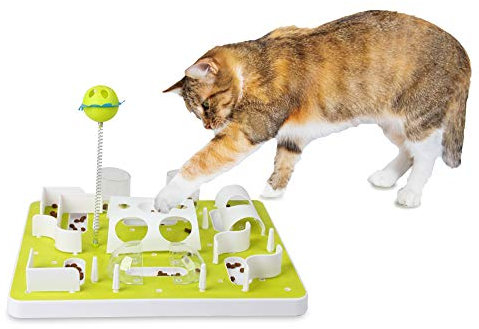 ALL FOR PAWS Katzenspielzeug mit Leckerli-Spender & Katzenminze,Spielzeug für Kätzchen mit Futterbelohnung und Knobelspaß Katzen Intelligenzspielzeug