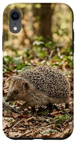 Hérisson forêt Faune Feuilles d'automne Scène boisée Coque pour iPhone XR