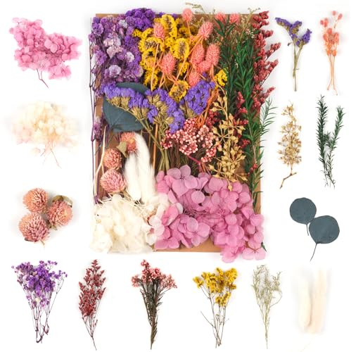 Trockenblumen Zum Basteln, Natürliche Gemischte Getrocknete Blumen Lila | für DIY Epoxidharz Scrapbook Zubehör Handwerk Karten
