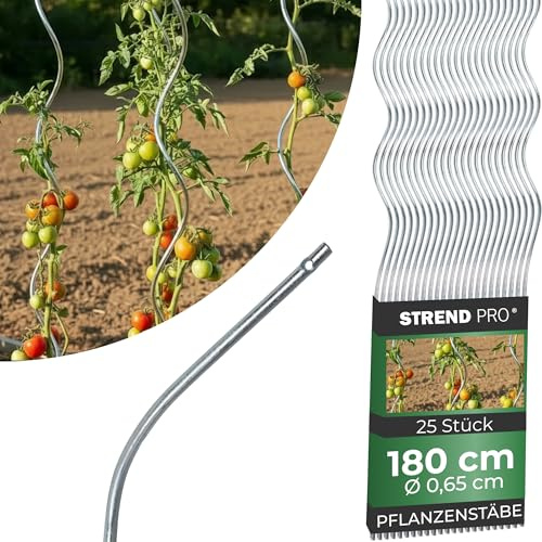 STREND PRO Tomatenstäbe 180 cm - 25 STK. | Spiralstab Ø 6,5 mm Verzinkter Stahl | Pflanzstab, Tomatenstütze, Rankhilfe, Stangen für Tomaten | Rankstab Metall | Spiral Bohnenstange Pflanzenstütze groß