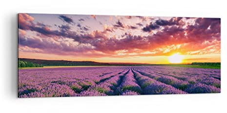 ARTTOR Leinwandbild 140x50cm Wandbild Botanik Landschaften - 3816 | Lavendel Gebirge Feld Panorama Groß XXL Wanddekoration Wohnzimmer Schlafzimmer Wanddeko Wand Kunstdruck Wandkunst ARTTOR