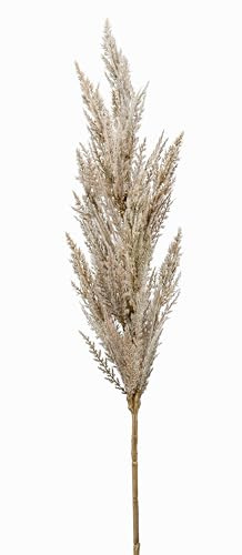 artplants.de Rama Artificial de Hierba de la Pampa con panícula BATERNO | Crema, 90cm - Hierba Decorativa - Hierba Falsa