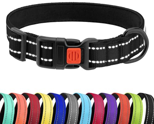 CollarDirect Reflektierendes Hundehalsband für kleinen, mittelgroßen, großen Hund, Welpen mit Schnellverschluss, Hündin, Rüde, 48 Sorten, Nylon Wasserfest