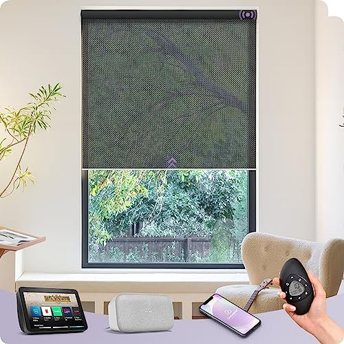 Graywind Customized Smart Solar Blinds, Fireproof Electric Roller Blinds Compatible With Alexa Google, Rechargeable Motorized Window Shades with Remote for Home Office Patio, 3% Openness Black Pearl