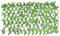 HERSIG - Celosia Extensible - Celosias para Terraza Exterior con Hojas Claras Decorativas (120x180cm) - Celosia Terraza - Decoracion Jardin Exterior - Celosias Decorativas Resistentes
