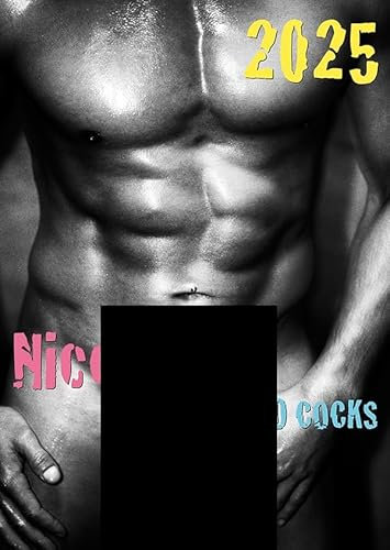 Verschiedene Pin-Up Kalender Nice Guys & Bad C*cks 2026 (A4)