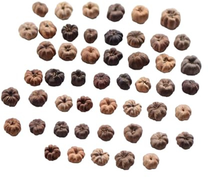 perfk 50x Mini Putka Herbst Vase Füller Handwerk liefert Ornamente natürliche getrocknete Früchte Mini Kürbis für Hochzeit Potpourri