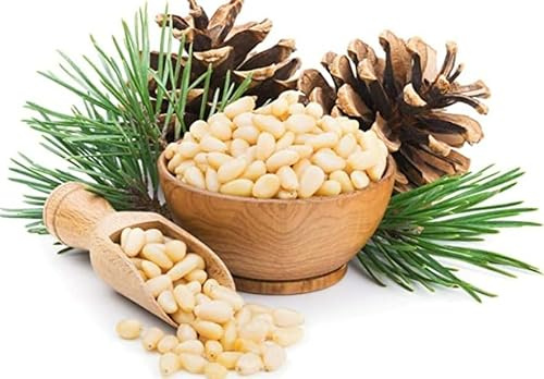 Raw Pine Nut Kernels – Premium Grade | Natural, Unsalted & Unroasted | Packed in UK | Perfect for Pesto, Salads, Baking & Snacking | Vegan Friendly (500 g)