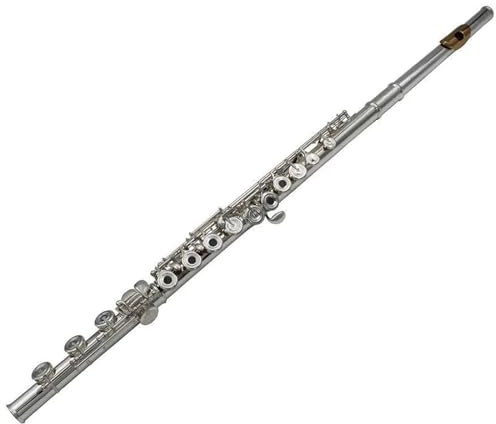 Korpus Aus Massivem Sterlingsilber, Französische Klappe, 17 Klappen, Offenes Loch, C-Ton-Flöte Mit Geteilter E-Klappe Querflöte für Anfänger