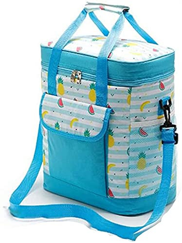 ZEBEYE Picknicktasche, Reisetasche, 22 l/27 l, Kühltasche, wasserdicht, tragbar, Kühlschrank zur Lebensmittelisolierung, Thermotasche, gepolsterte Weinkühltasche (Farbe: 22 l) (Color : 22l)