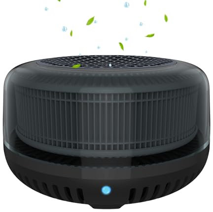 Car Air Purifier, QUEENTY Mini Air Purifiers for Bedroom,Home with True H13 HEPA Filter,Ionizer.Portable Air Purifiers for Car, Desktop,Office,Room,Pets (Black)