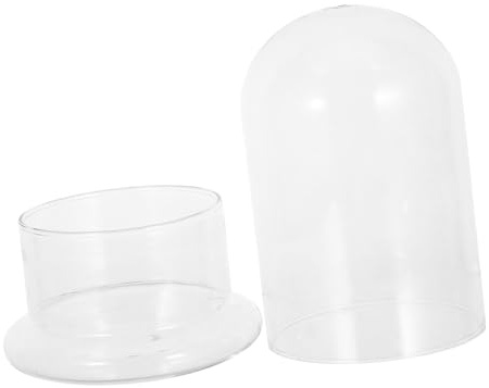 CAXUSD Transparentes Glas-Terrarium Höhe DIY Pflanzenvermehrungsflasche für Hydroponische Anzucht Dekorative Glaskuppel für Indoor-Garten und Mini-landschaften