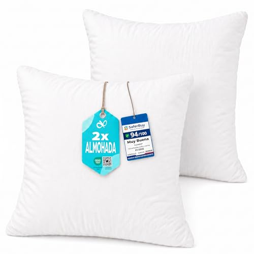 Flowen Kissen 65x65 Kopfkissen 2er Set für Sofa und Bett Innenkissen Hypoallergene Anti-Milben Kissenfüllung mit Weicher Gesteppter Kissenbezug 100% Polyester für Haus/Hotel