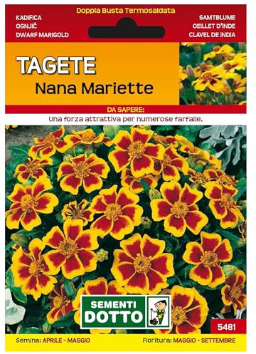 Sicignano | Semi Tagete Nana Mariette, Pianta Annuale Ornamentale con Fiori Duraturi, Busta Extra - 1 Confezione da 1.4g, Numerosi Fiori Lunga Durata, Pianta da Vaso