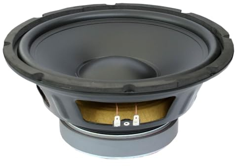 Elektron HiFi Chassis Bass-Lautsprecher Woofer 8 Ohm Einbau (CSP25-10/25cm)