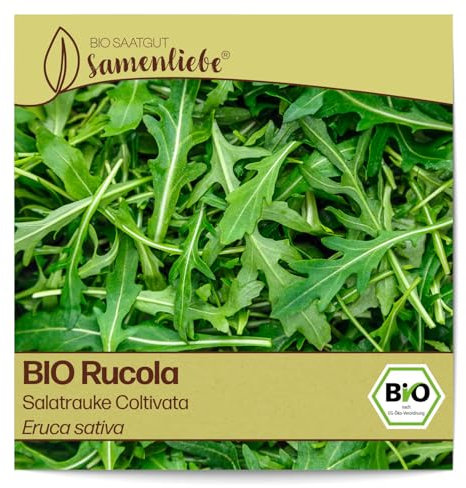 Samenliebe BIO Rauke Samen Salatrauke Coltivata mild nussiges Rucola Salatkraut grün 300 Samen samenfestes Kräuter Saatgut für Gewächshaus Freiland und Balkon BIO Kräutersamen winterhart
