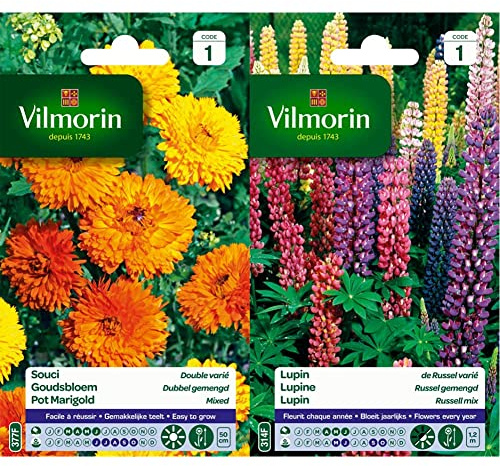 Vilmorin 5791041 Souci Double varie, Multicolore, 90 x 2 x 160 cm & 5345741 Lupin de Russel varie, Multicolore, 90 x 2 x 160 cm