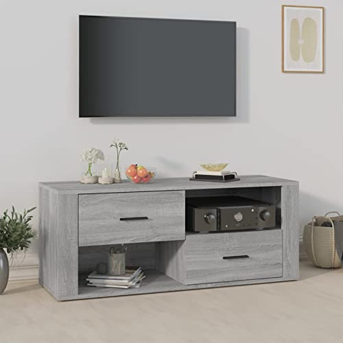ShCuShan TV-Schrank Grau Sonoma 100x35x40 cm Holzwerkstoff Tv Tisch Tv Kommode Spielekonsole FüR Fernseher - 823105