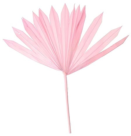 COSMEVIVI Foglia Di Palma Di Pampa Essiccata Naturale Decorazione Di Foglie Di Palma Essiccate Arredamento Elegante Decorazioni Con Foglie Di Palma Essiccate Fiori Secchi Rosa