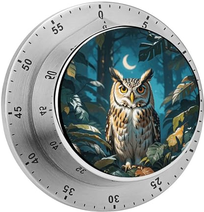 Eulen-Timer, exotischer Küchentimer, Eieruhr, Küchentimer zum Kochen, magnetischer Timer, Koch-Timer, Fitnessstudio, niedlicher Küchentimer, für Fitnessstudio, Lehrer, Studium, Training, Backen