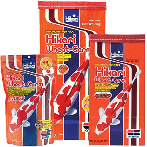 Hikari Koifutter Wheat Germ Large 10 kg