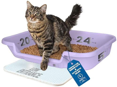 KittyGoHere Senior-Katzentoilette, niedriger Einstieg, komfortable Größe, ideal für ältere und arthritische Katzen, Lavendel, Größe L, 1 Stück