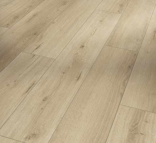 Parador Dekorboden Laminat Classic 1050 Eiche Loft pure Lebhafte Struktur Landhausdiele 4-V-Fuge